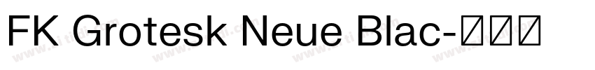FK Grotesk Neue Blac字体转换 FK Grotesk Neue Blac字体转换